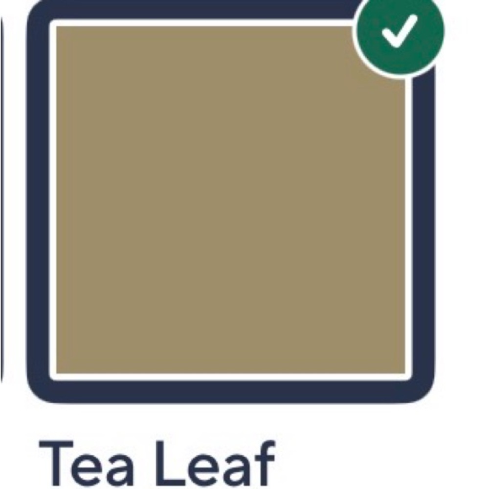 Belle by Kim Gravel Scubaluxe Long Sleeve Crewneck Top Color= Tea leaf - Picture 3 of 6